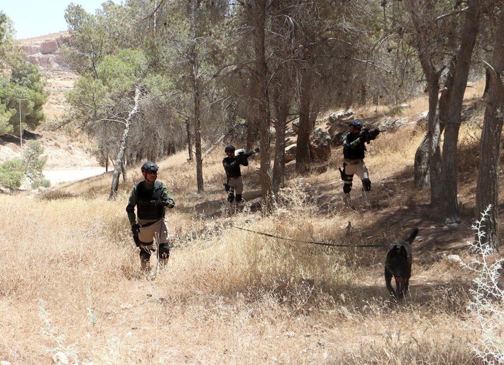 Mine Detection Field